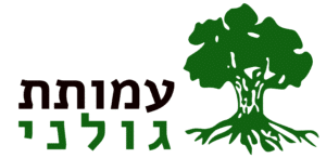 לוגו-מוארך-רקע-לבן